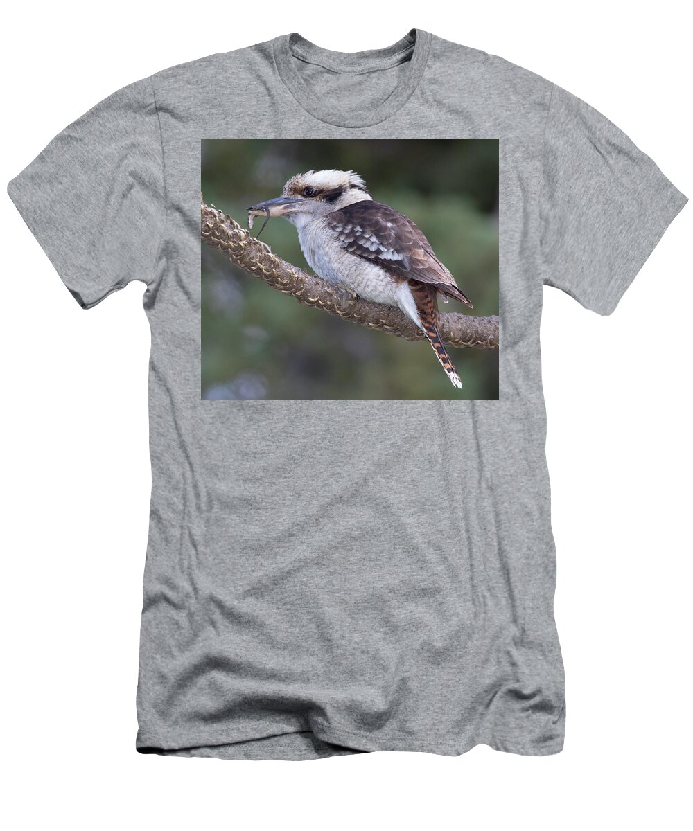 Bird T-Shirt featuring the photograph Hunter by Masami IIDA
