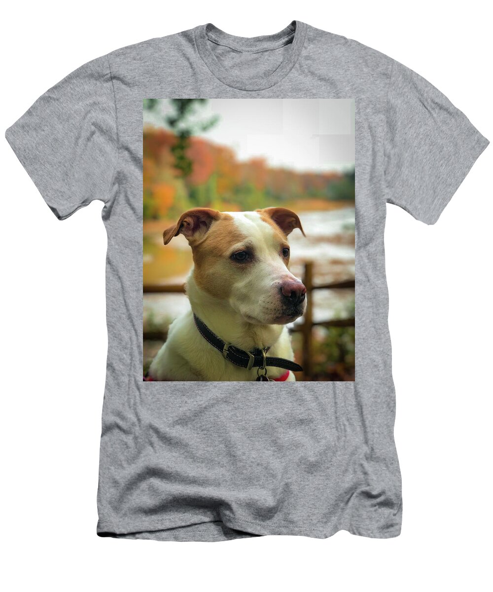 Dog T-Shirt featuring the photograph I See Something by Lora J Wilson