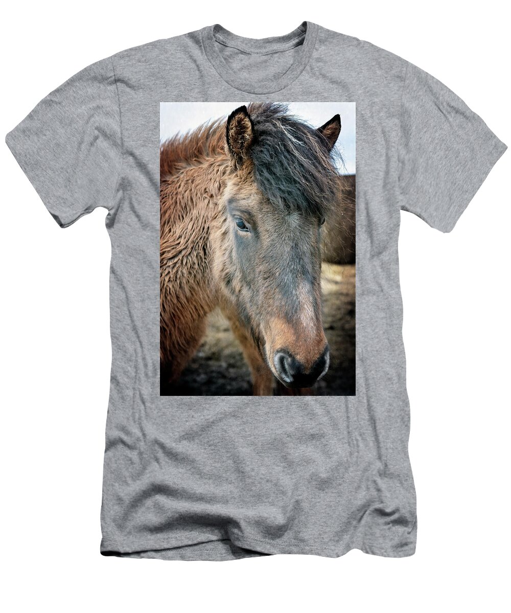 Joan Carroll T-Shirt featuring the photograph Icelandic Horse by Joan Carroll