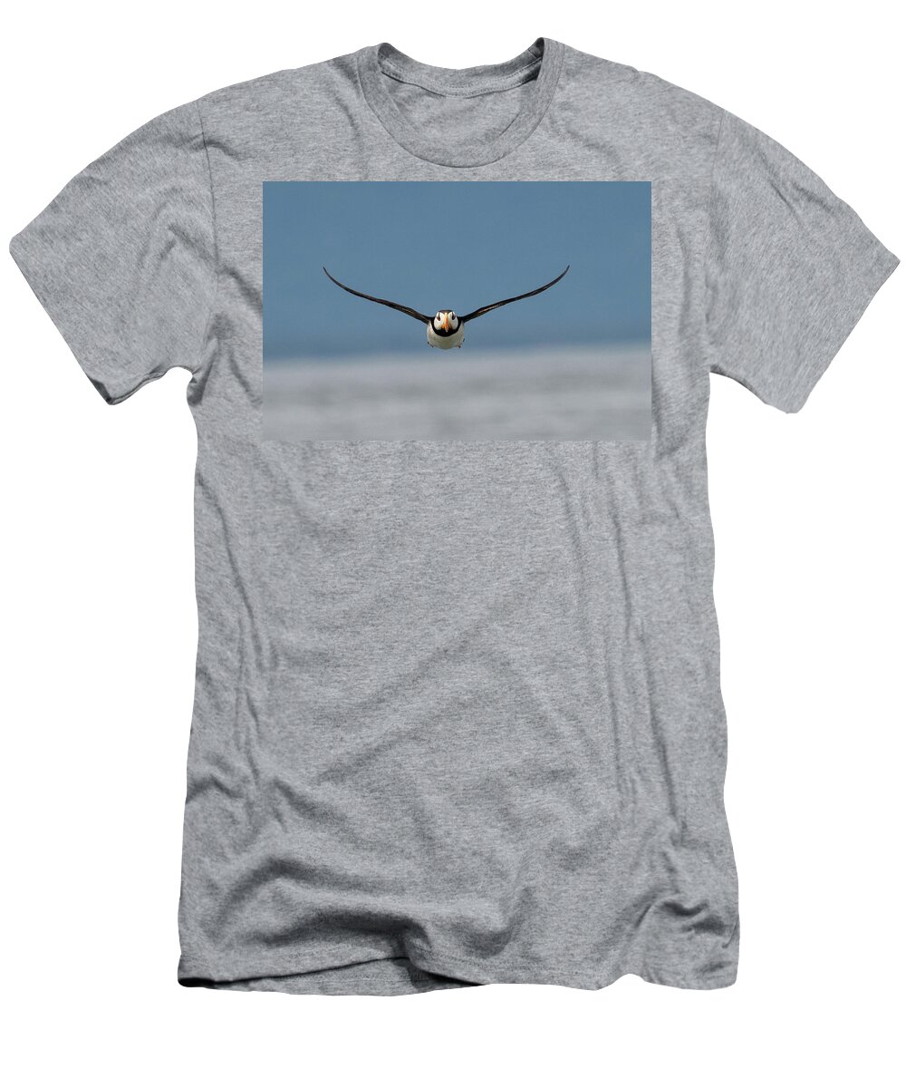 Puffin T-Shirt featuring the photograph Incoming Puffin by Mark Hunter