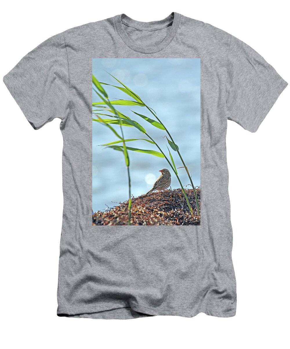 New Jersey T-Shirt featuring the photograph Ipswich Sparrow by Jennifer Robin