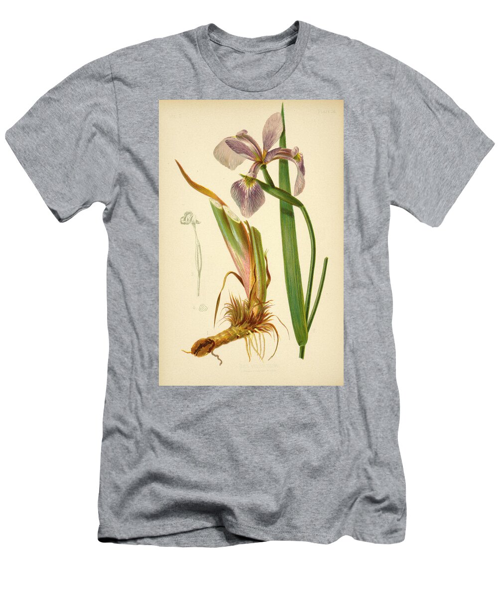 Iris T-Shirt featuring the mixed media Iris Versicolor Blue Flag by L Prang