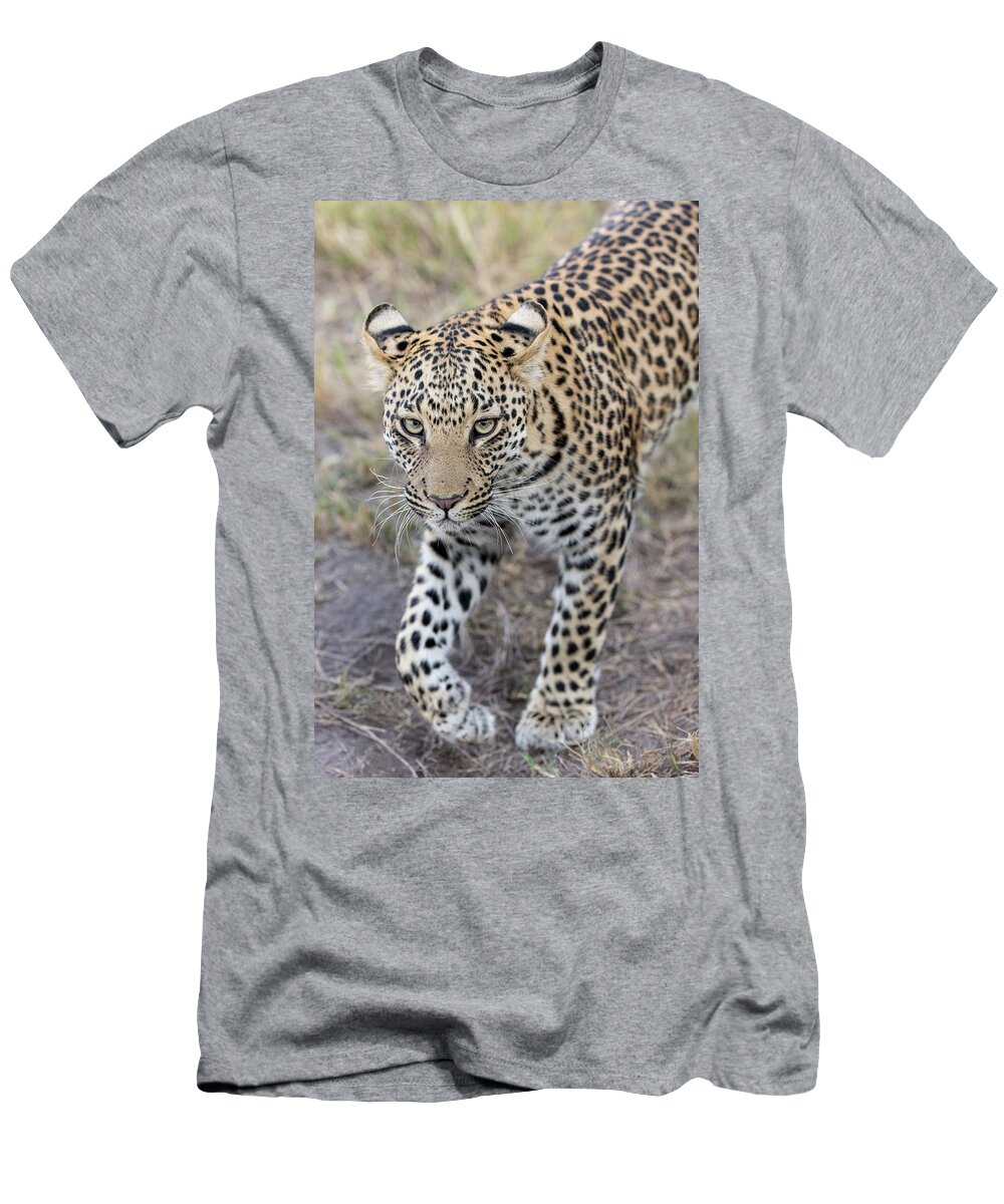 Suzi Eszterhas T-Shirt featuring the photograph Juvenile Leopard In Jao Reserve by Suzi Eszterhas