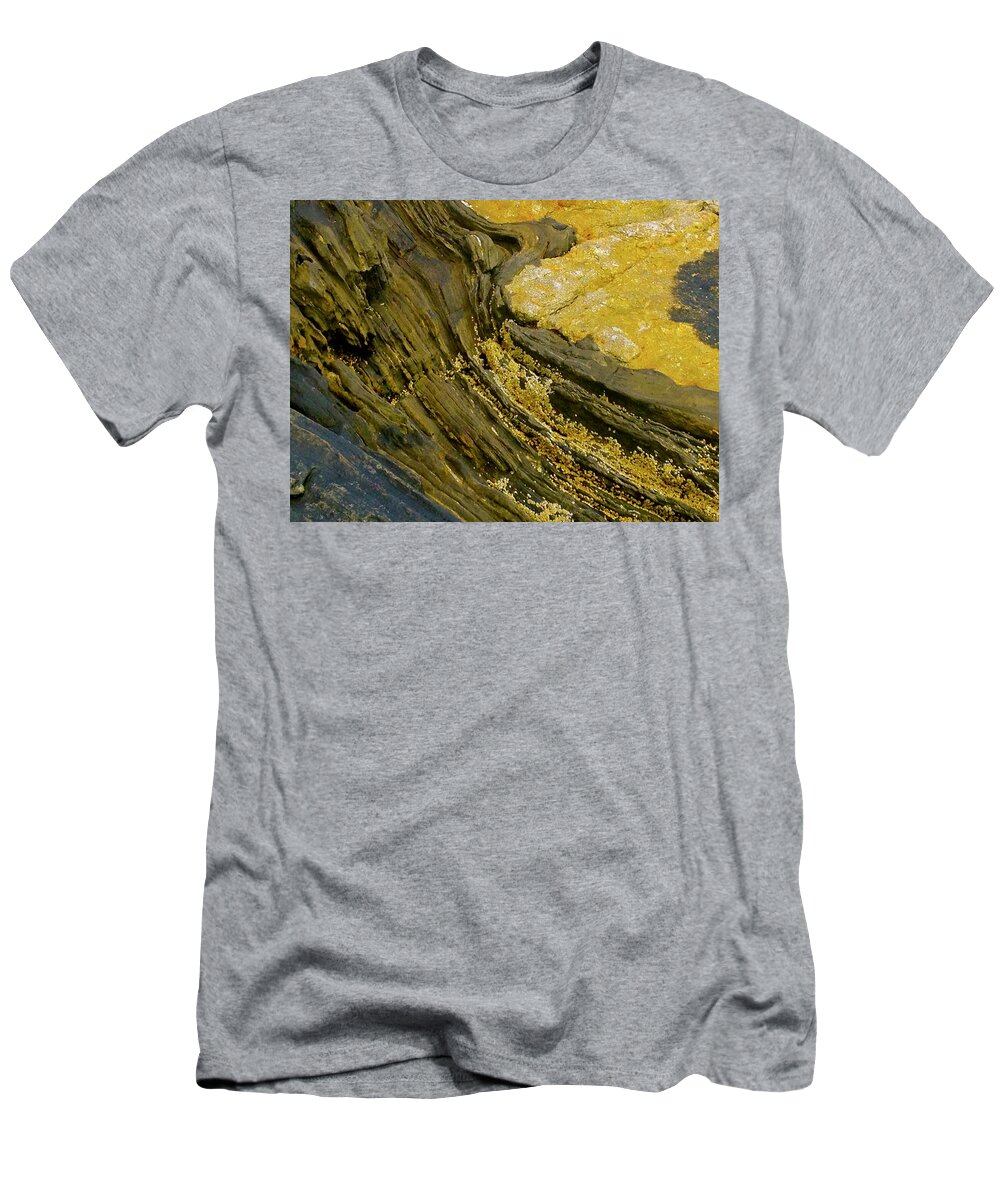 Photo Stream T-Shirt featuring the photograph Lichen by Debra Grace Addison