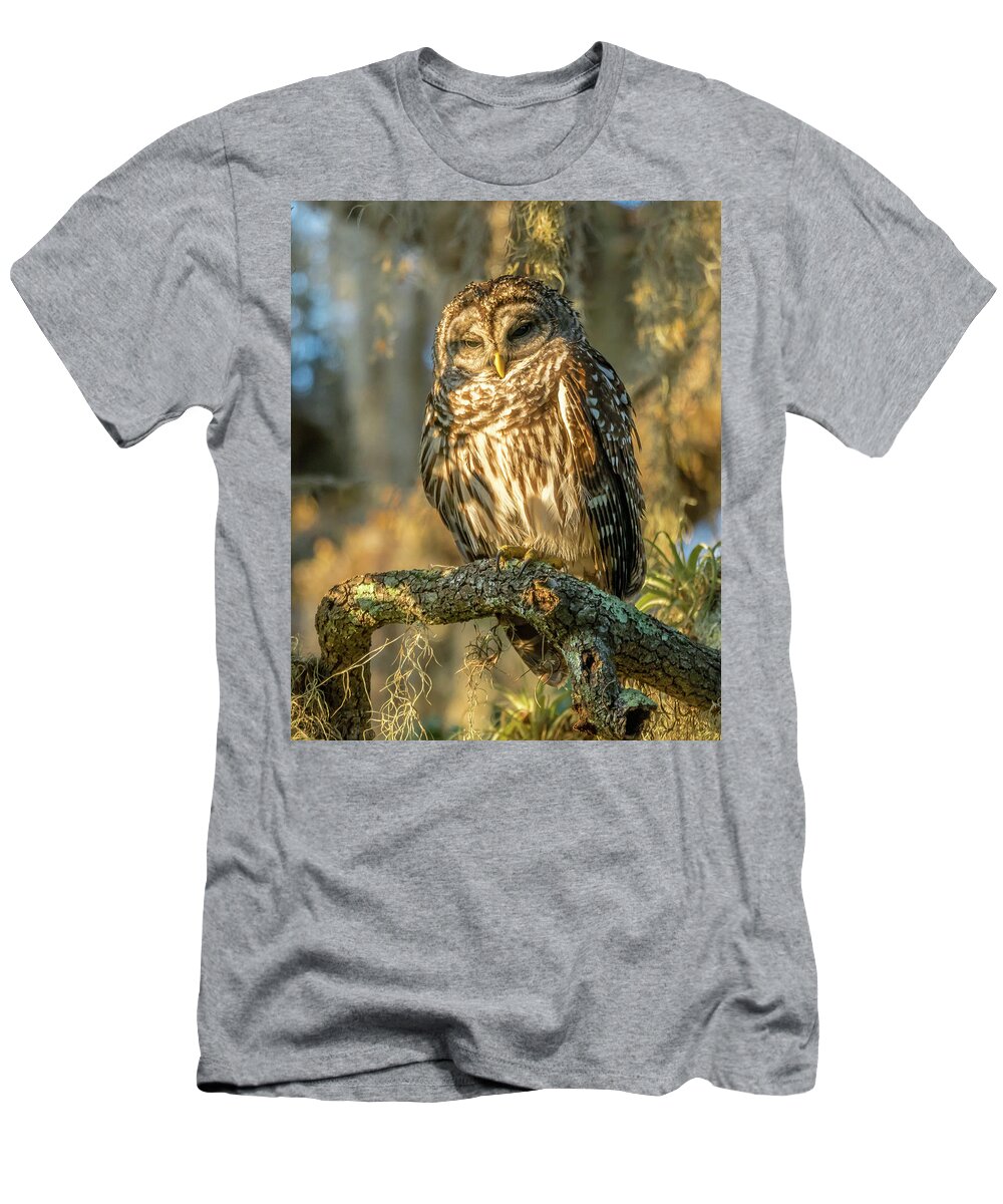 Barred Owl T-Shirt featuring the photograph Light Rays by David Kulp