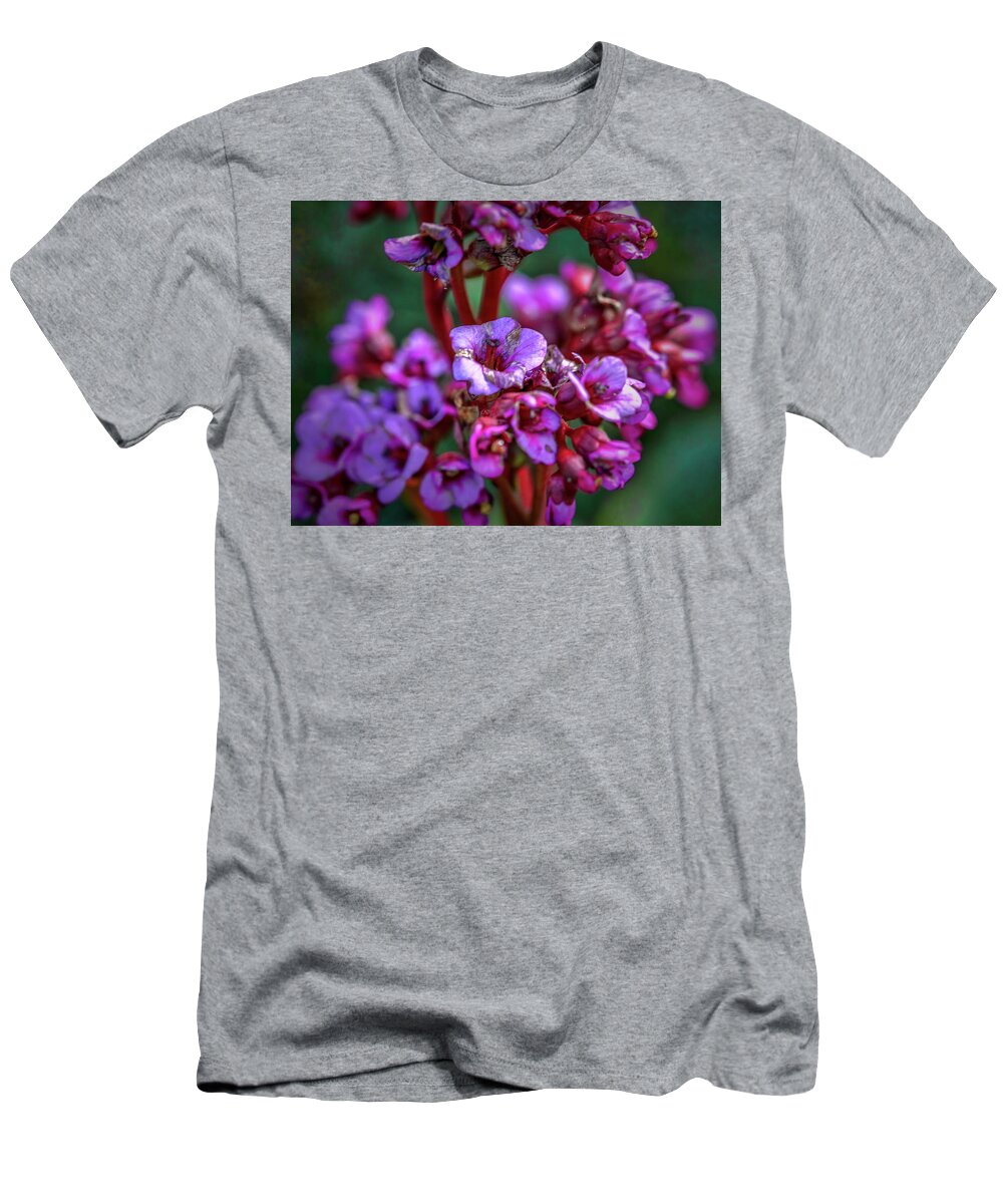 Leif Sohlman T-Shirt featuring the photograph Lilac #h9 by Leif Sohlman