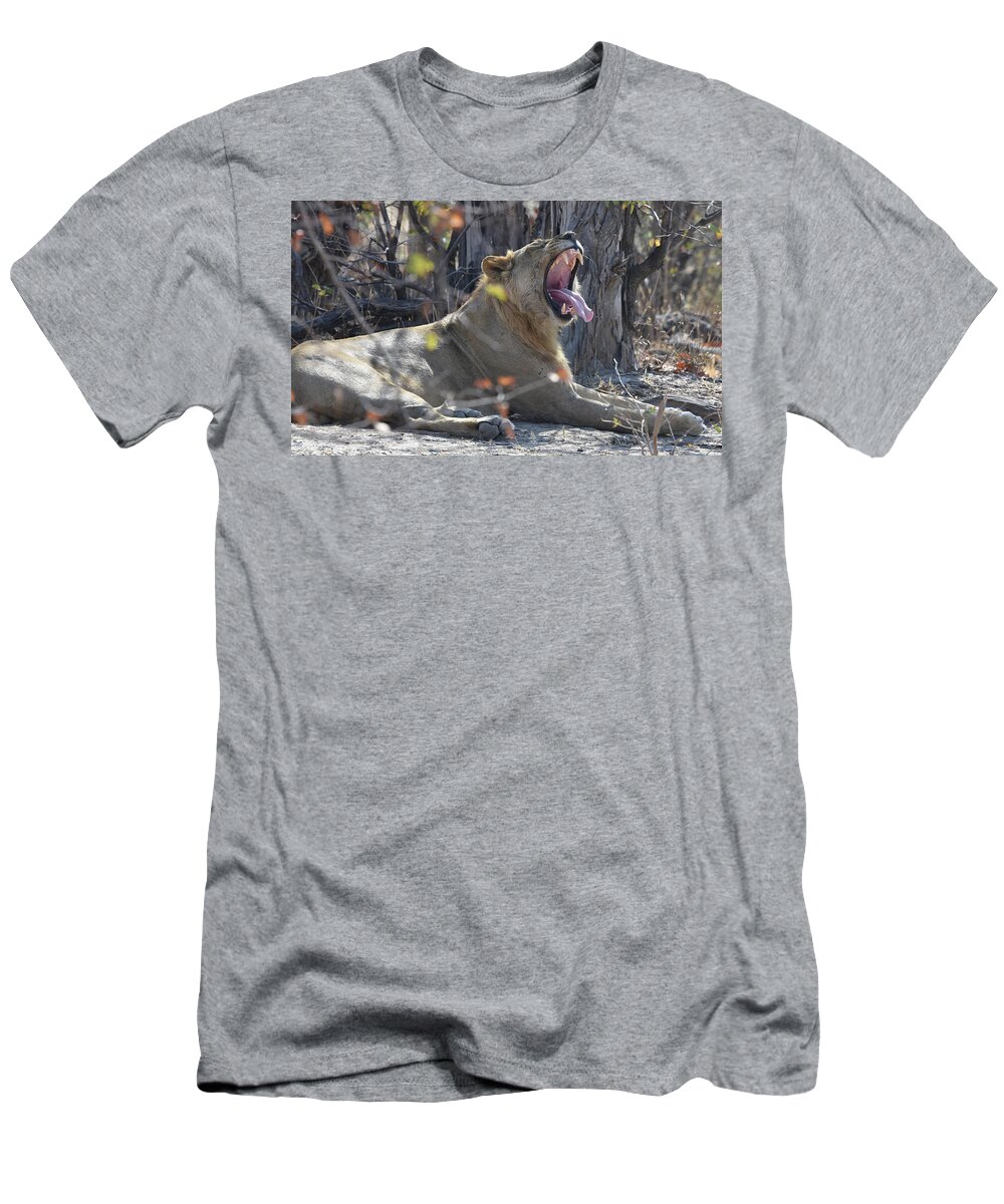Lion T-Shirt featuring the photograph Lion's Yawn by Ben Foster