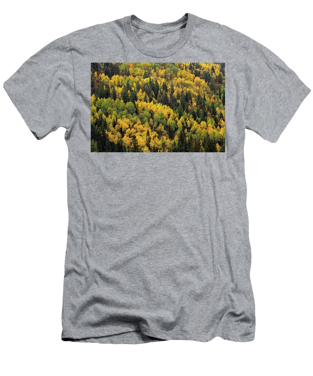  T-Shirt featuring the photograph Little Cottonwood Fall Color - Alta, Utah by Brett Pelletier