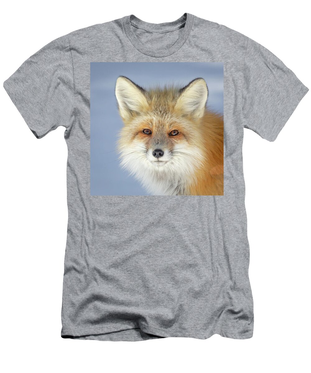Red Fox T-Shirt featuring the photograph Looking into the Eyes of a Fox by Jack Bell