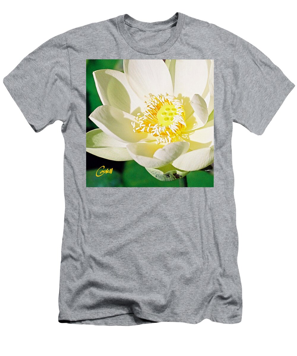 Flowers T-Shirt featuring the photograph Lotus by Joan Cordell