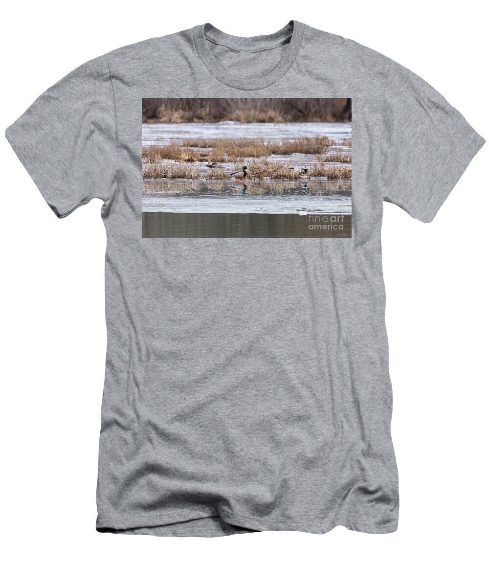 Mallard T-Shirt featuring the photograph Mallard Frozen Walk by Jennifer White