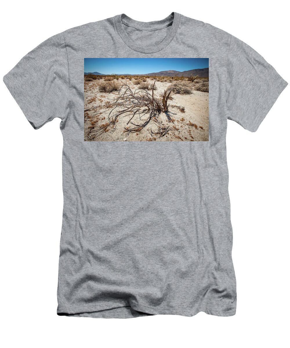 Anza-borrego Desert State Park T-Shirt featuring the photograph Mesquite in the Desert Sun by Mark Duehmig