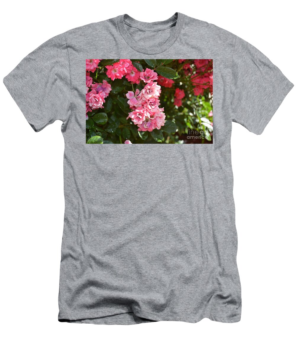 Mini Roses Blooming T-Shirt featuring the photograph Mini Roses Blooming by Barbra Telfer