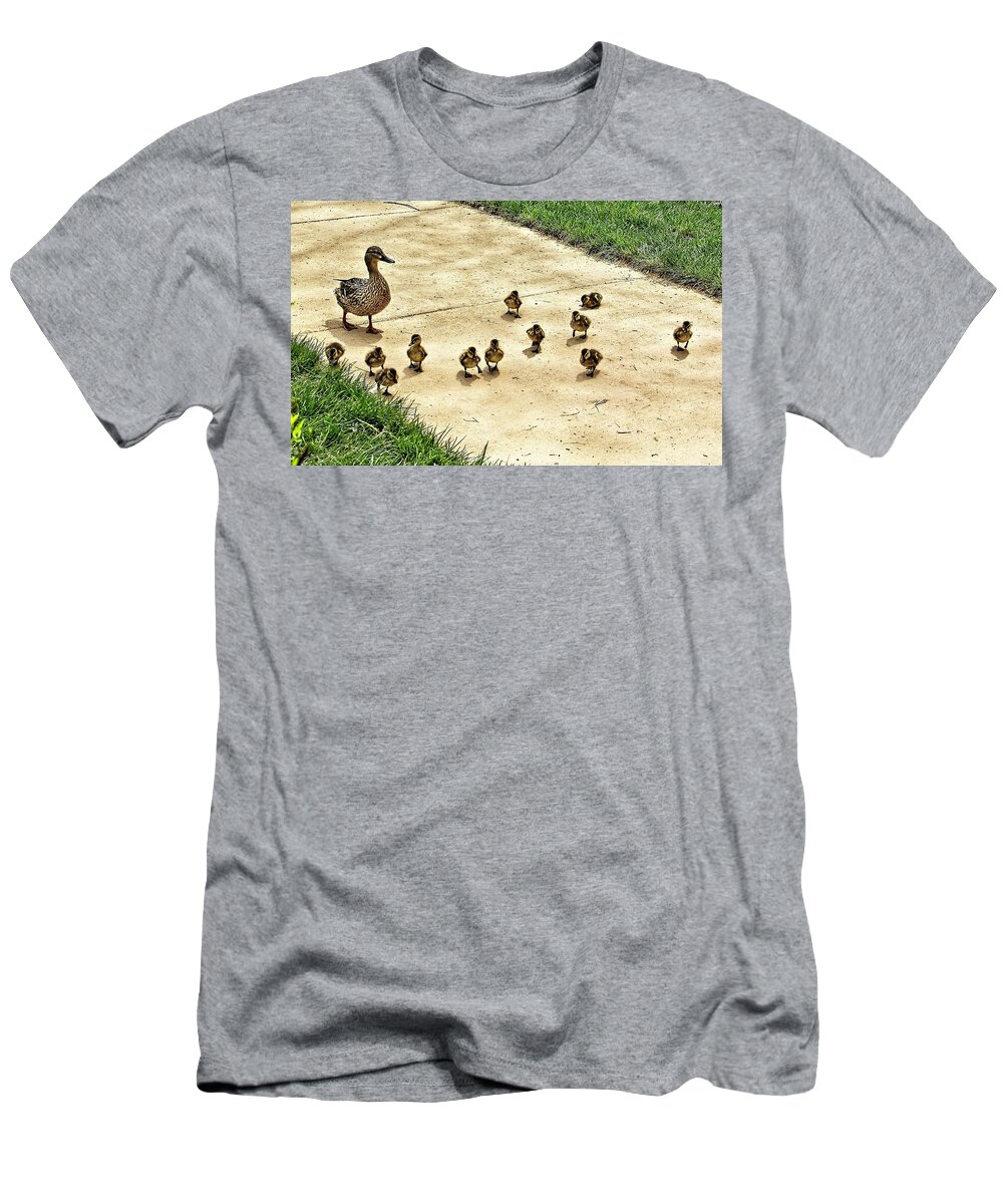 Ducks T-Shirt featuring the photograph Momma and Ducklings by Allen Nice-Webb