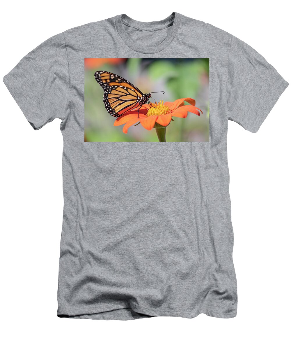 Monarch Butterfly T-Shirt featuring the photograph Monarch 2018-25 by Thomas Young