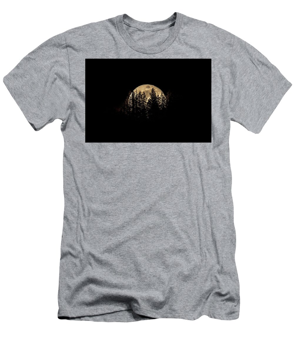 Moon T-Shirt featuring the photograph Moon and Pines by Randy Robbins