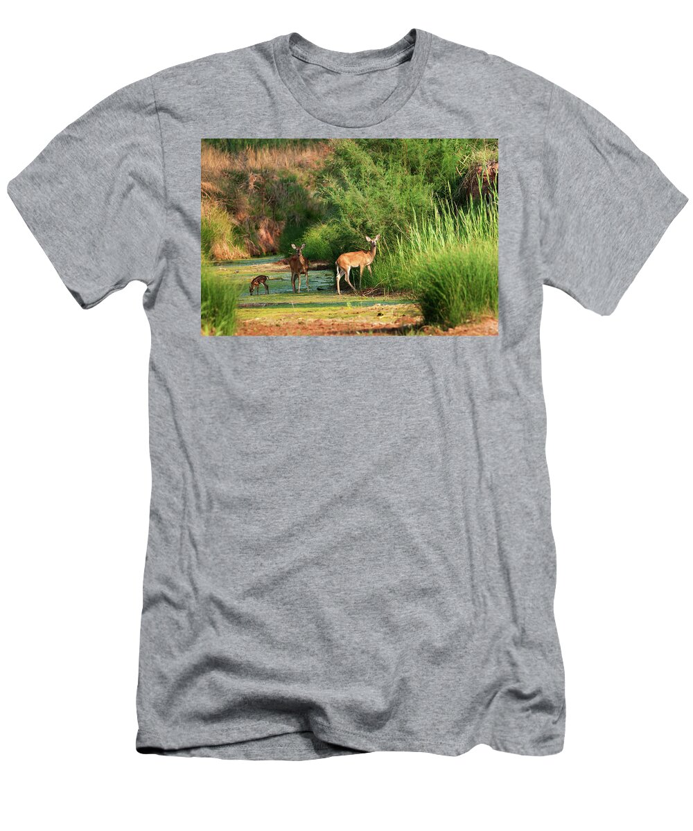 Richard E. Porter T-Shirt featuring the photograph Morning Drink, Color - Deer, Palo Duro Canyon State Park, Texas by Richard Porter