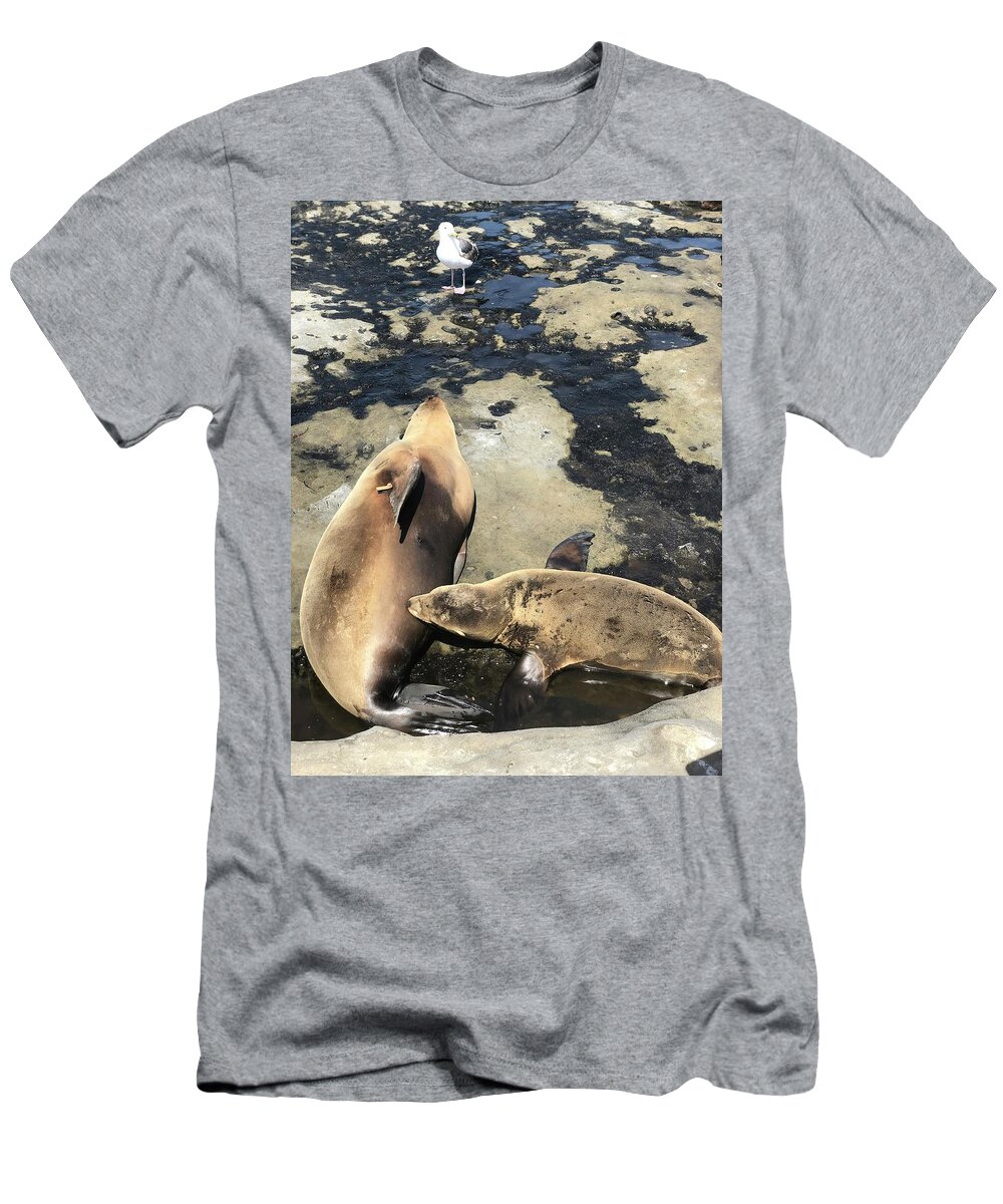 Sea Lions T-Shirt featuring the photograph Mother and Child by Lauren Serene