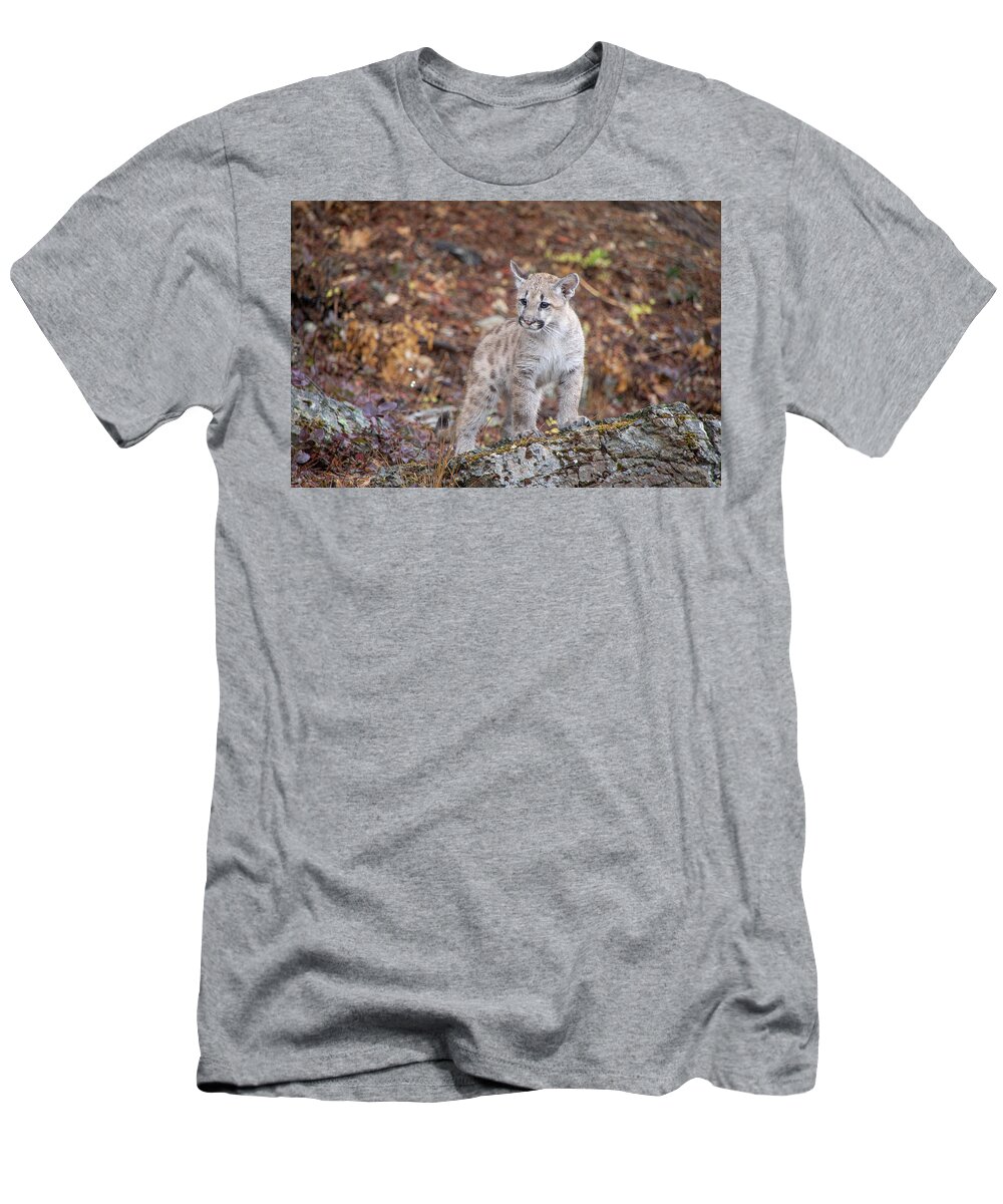 Animal T-Shirt featuring the photograph Mountain Lion Cub - 7038 by TL Wilson Photography by Teresa Wilson