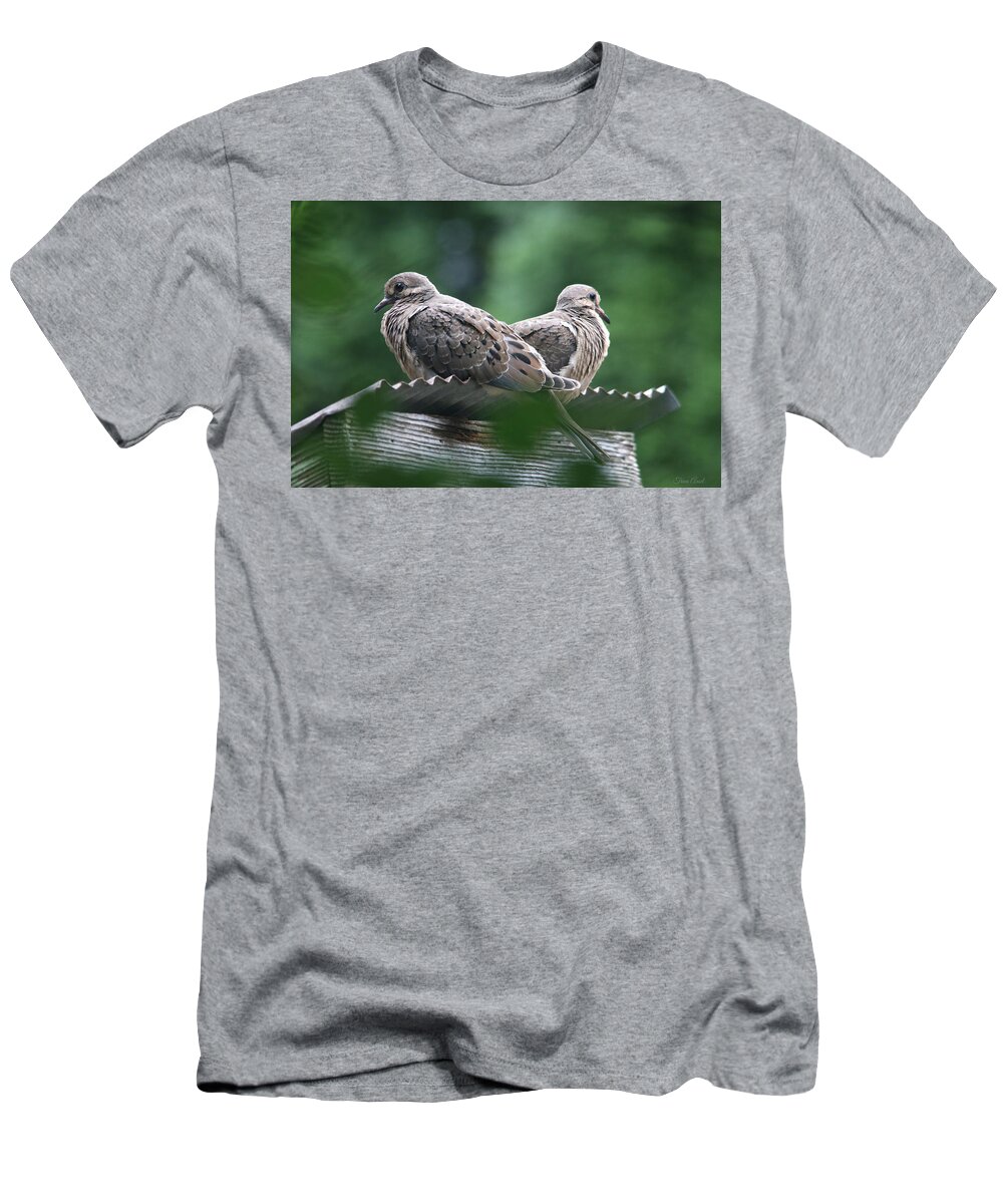 Birds T-Shirt featuring the photograph Mourning Meditation by Trina Ansel