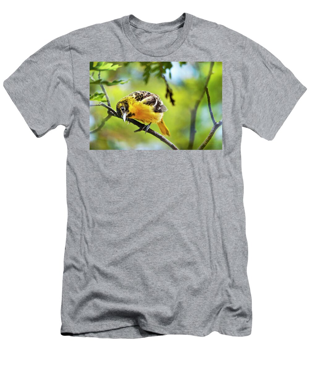 Baltimore Oriole T-Shirt featuring the photograph Musing Baltimore Oriole by Christina Rollo