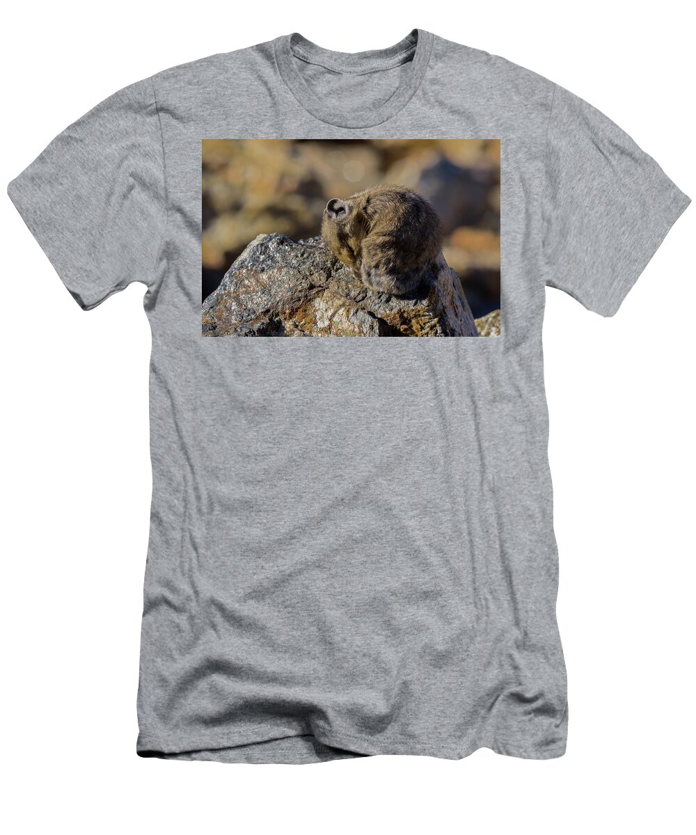 American Pika T-Shirt featuring the photograph Napping American Pika - 4694 by Jerry Owens