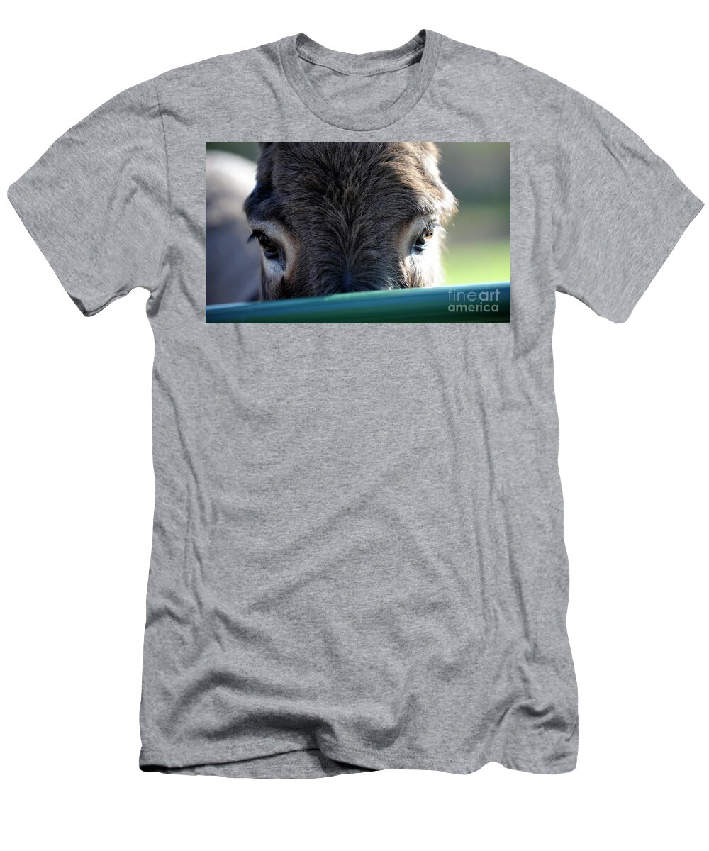 Rosemary Farm Sanctuary T-Shirt featuring the photograph Nemo's Eyes by Carien Schippers