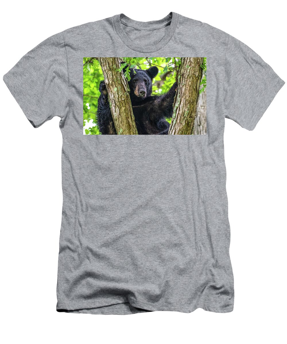 American Black Bear T-Shirt featuring the photograph Not All Bears Are Created Equal by Marcy Wielfaert