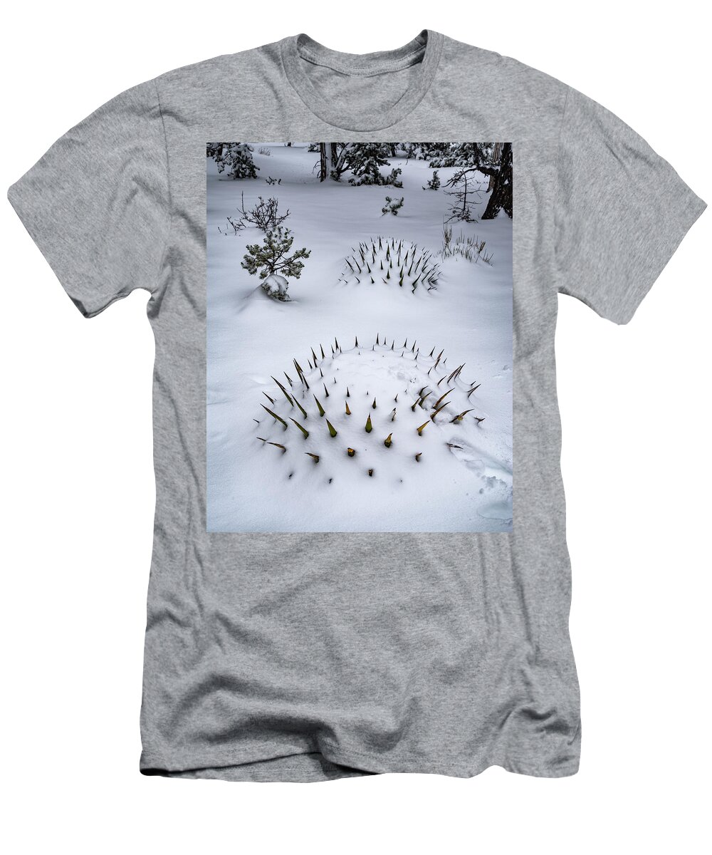Arizona T-Shirt featuring the photograph Not Something you See Everyday by Will Wagner