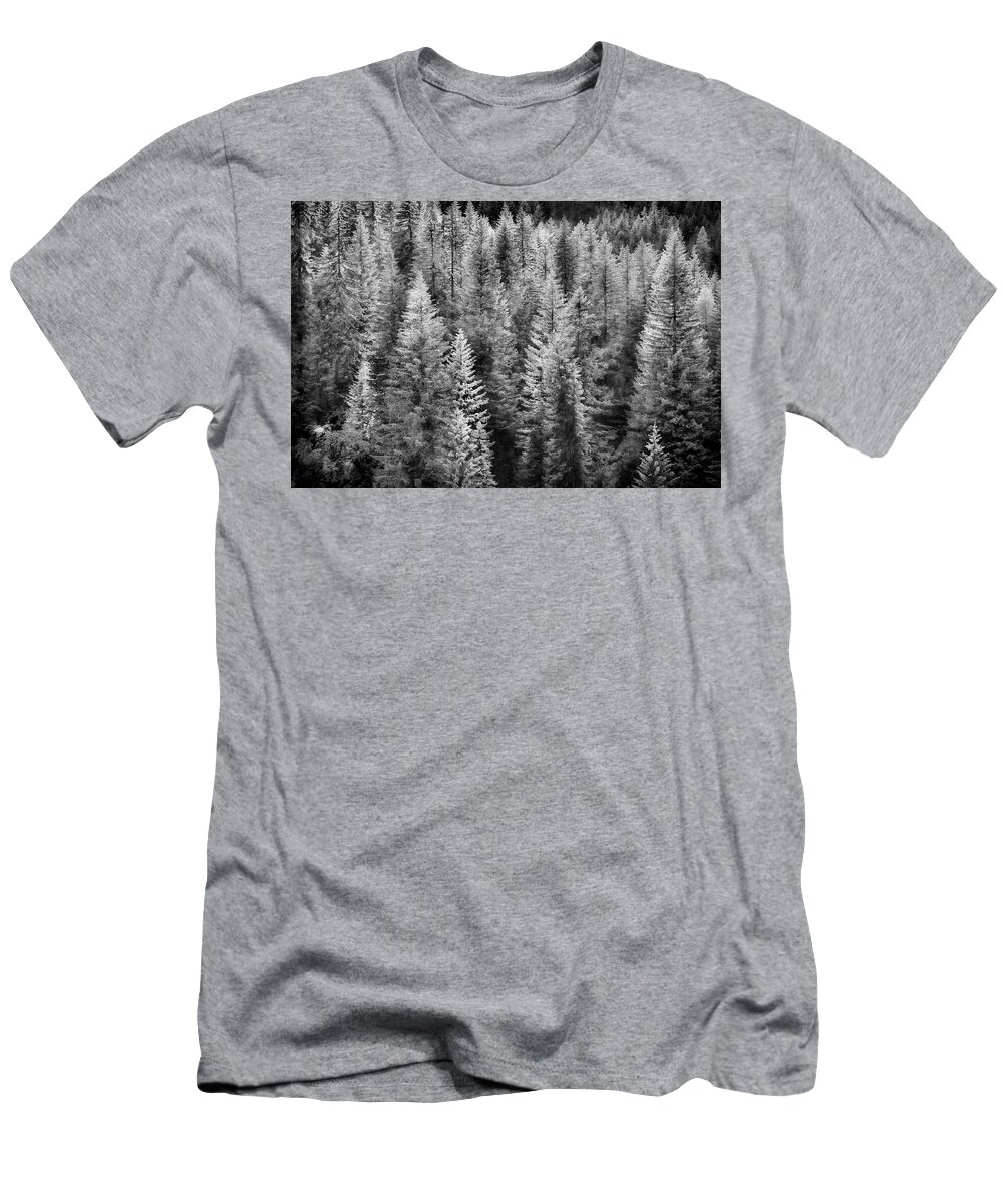 Black And White T-Shirt featuring the photograph One Of Many Alp Trees by Jon Glaser