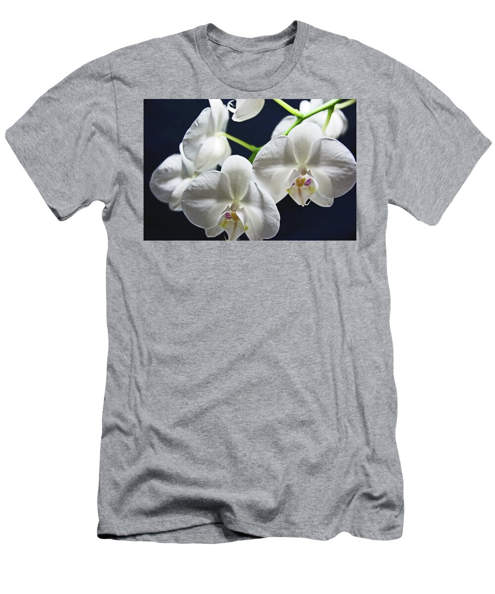 Orchids T-Shirt featuring the photograph Orchids by Lachlan Main