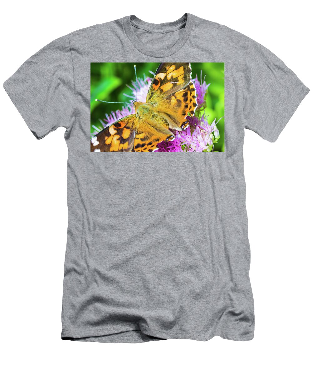 Painted Lady Butterfly T-Shirt featuring the photograph Painted Lady Butterfly by Pheasant Run Gallery
