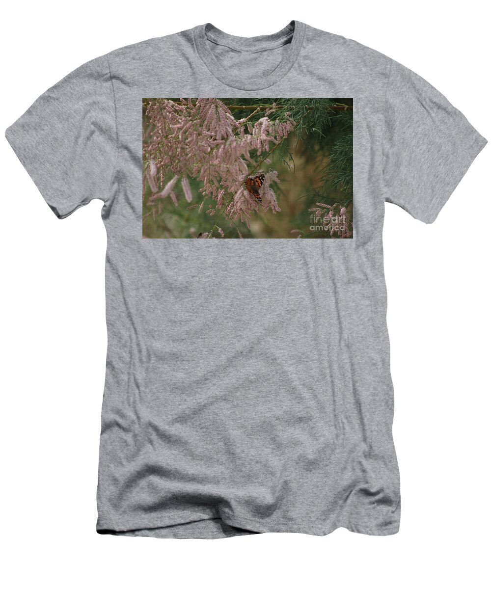 Peony Pink T-Shirt featuring the photograph Painted Lady on Pink Chinese Saltcedar by Colleen Cornelius