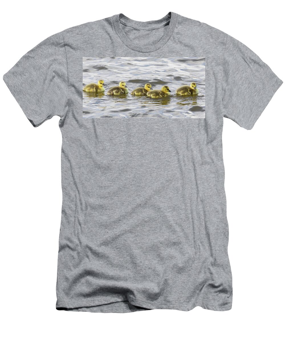 Goose T-Shirt featuring the photograph Panorama of Goslings on the Water by Tony Hake