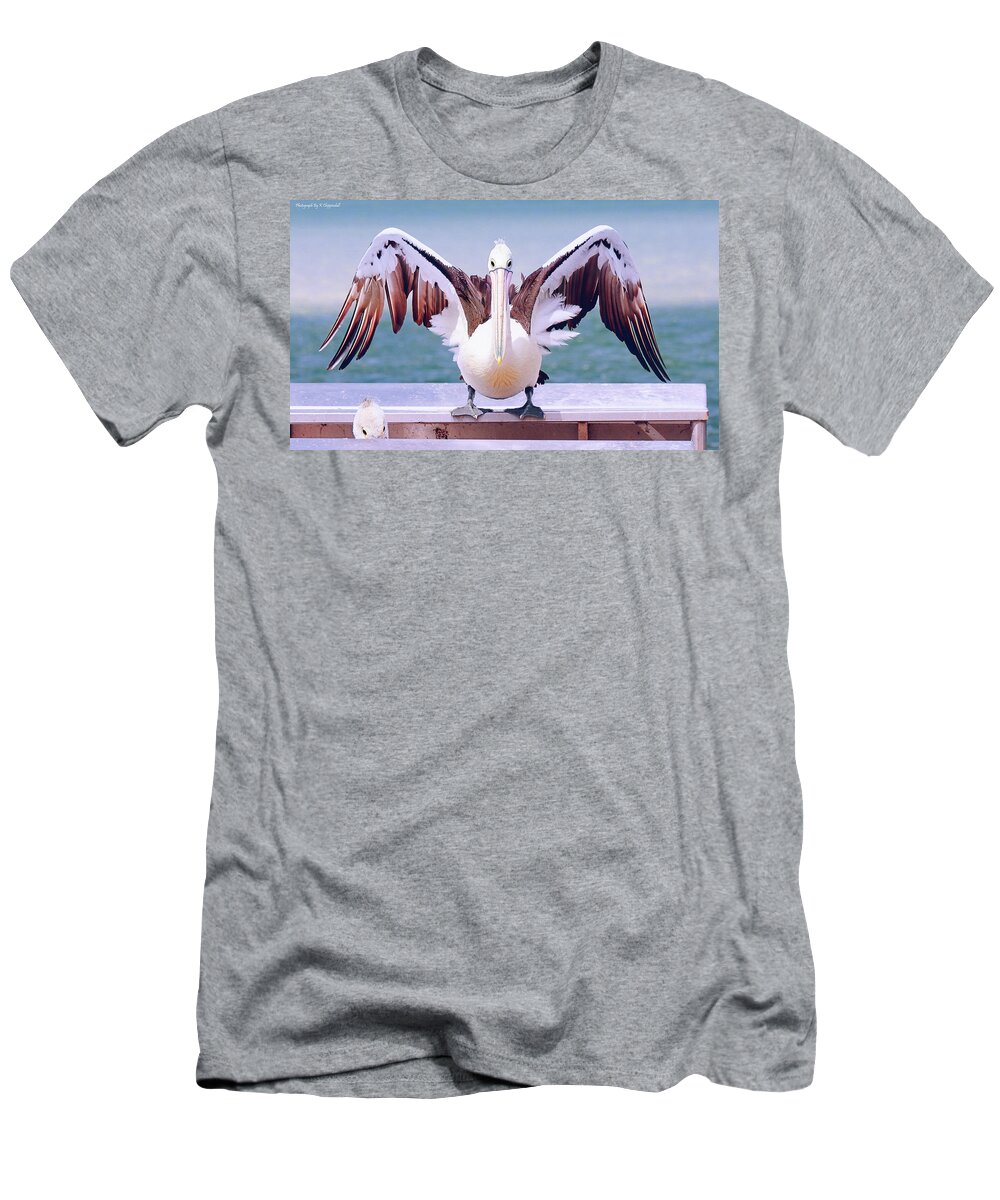 Pelicans T-Shirt featuring the digital art Pelican wings of beauty 9724 by Kevin Chippindall