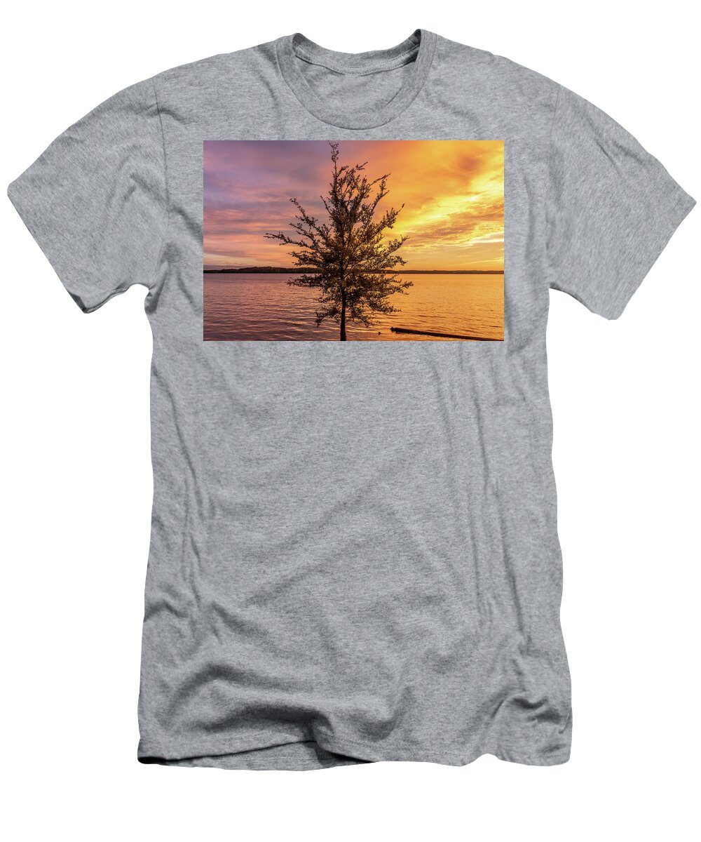 Percy Priest Lake T-Shirt featuring the photograph Percy Priest Lake Sunset Young Tree by D K Wall