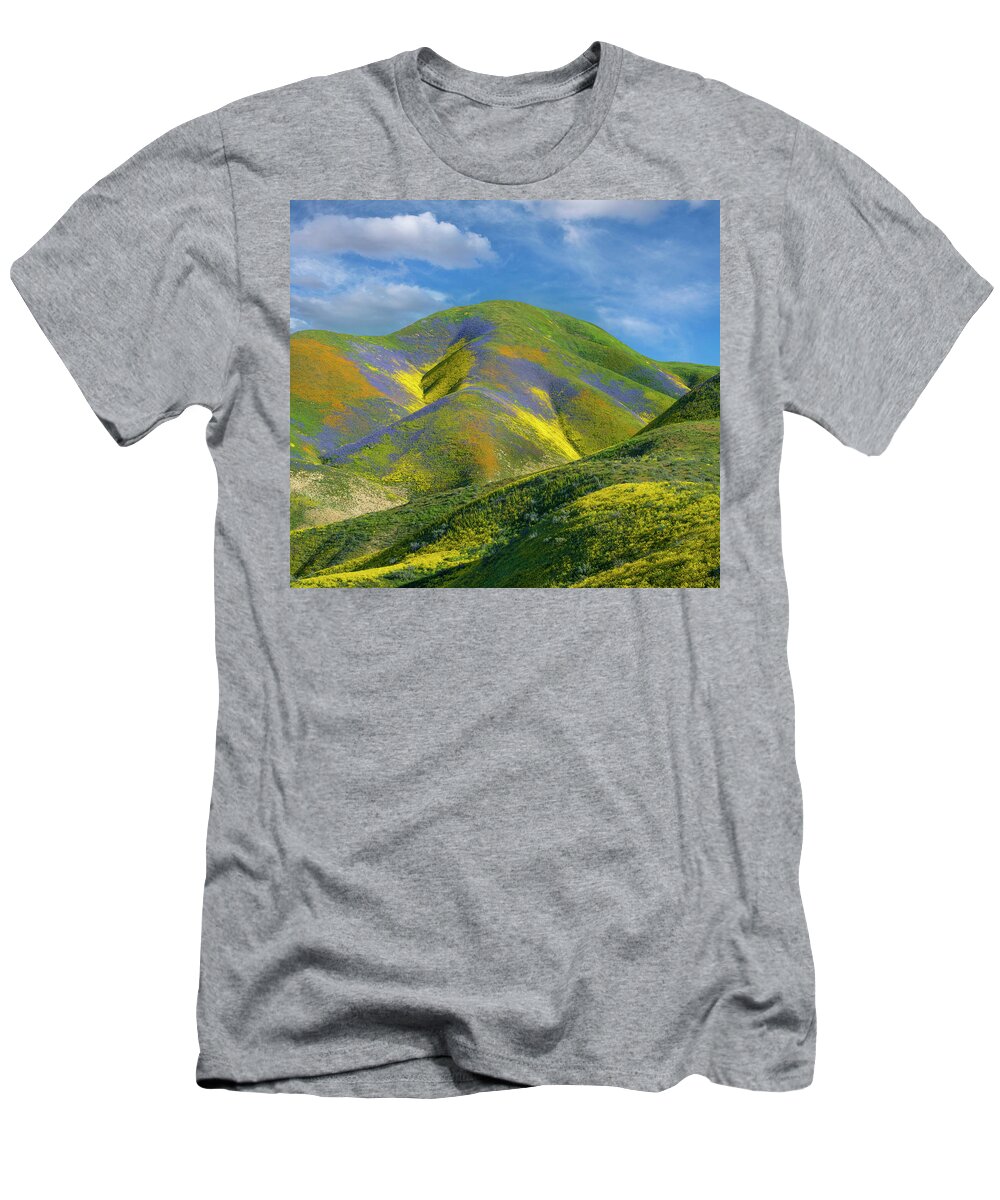 00568625 T-Shirt featuring the photograph Phacelia And Hillside Daisy Wildflower Bloom, Temblor Range, Carrizo Plain Nm, California by Tim Fitzharris