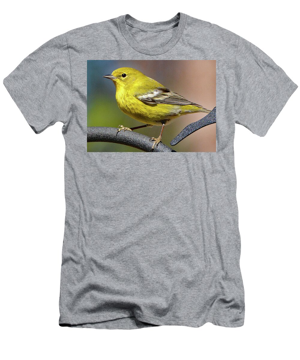 Pine Warbler T-Shirt featuring the photograph Pine Warbler by Jerry Griffin