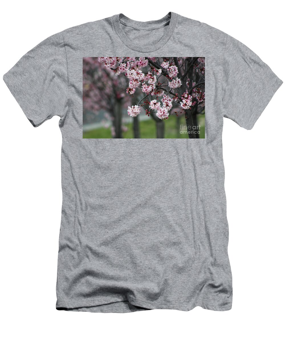 Misty T-Shirt featuring the photograph Pink Blossoms in Foreground at Reagan Library 2 by Colleen Cornelius