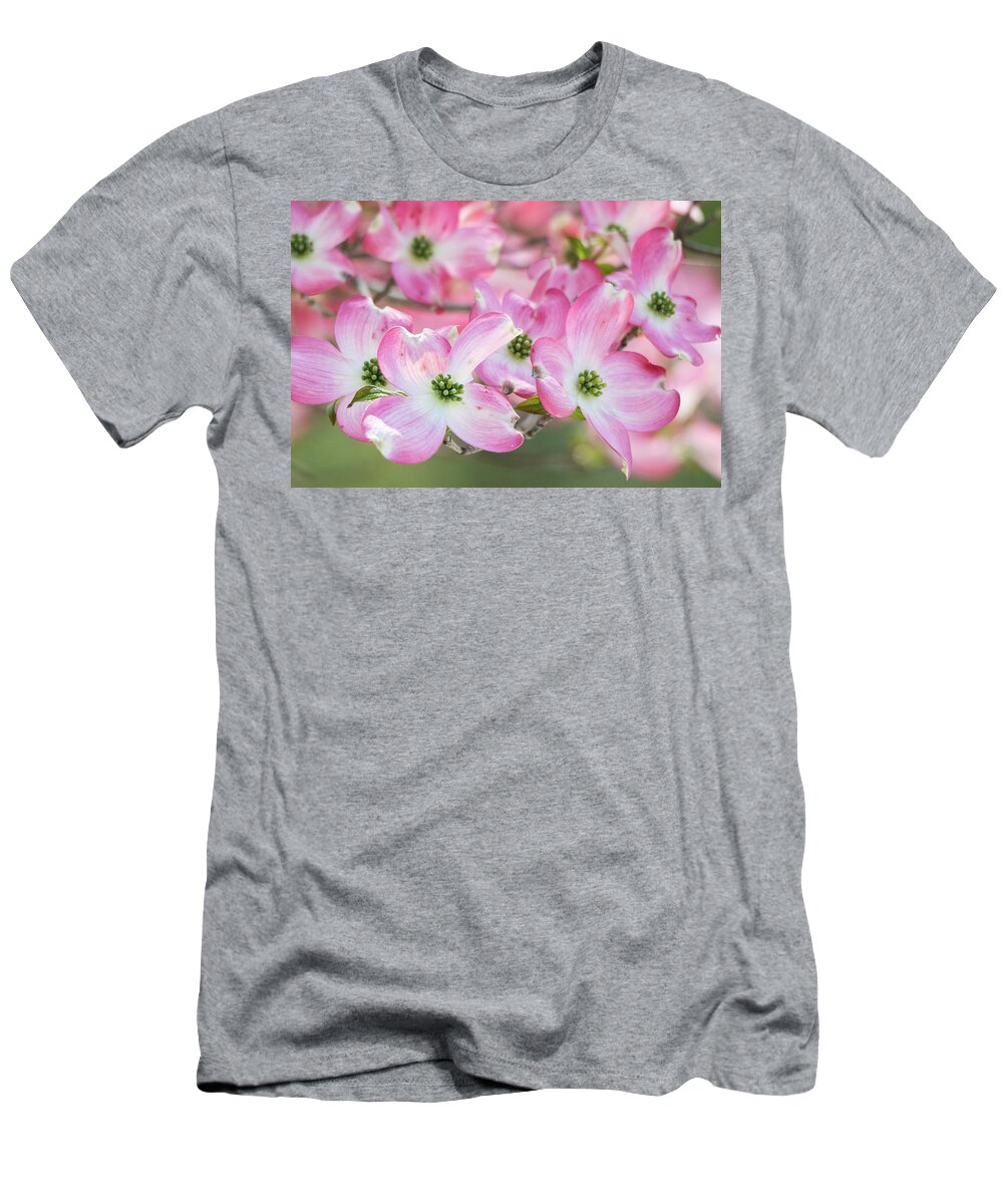 Pink T-Shirt featuring the photograph Pink Dogwood Beauty by Mary Ann Artz