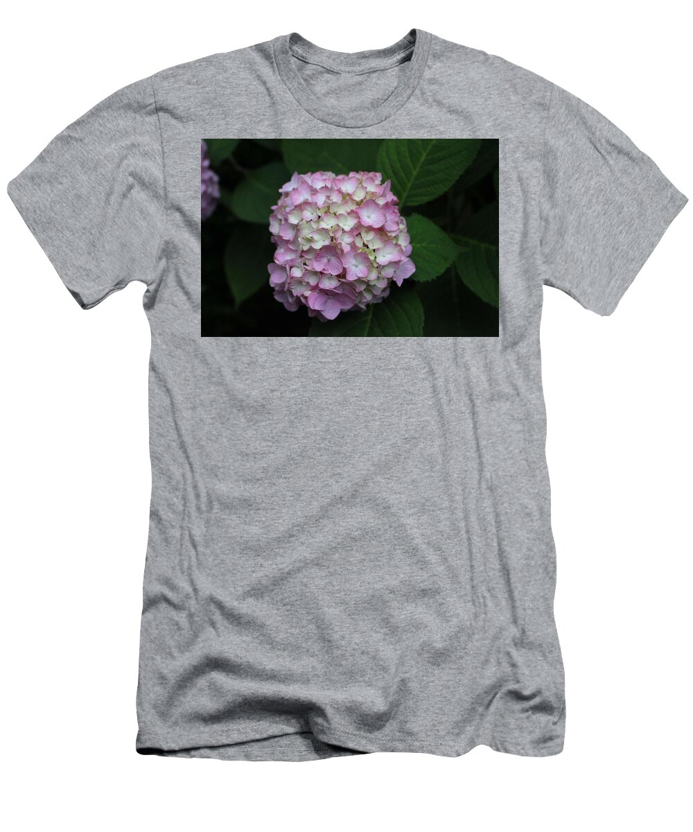 Pink T-Shirt featuring the photograph Pink Hydrangea by Christopher Lotito