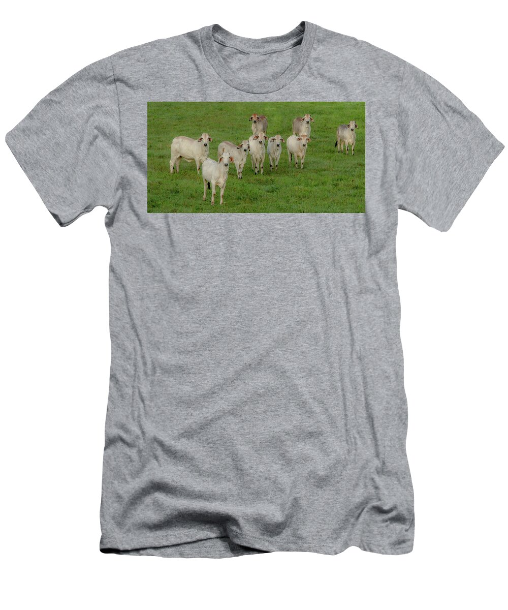 Tennessee T-Shirt featuring the photograph Please Tell Me You Brought Breakfast, Soft Color by Marcy Wielfaert
