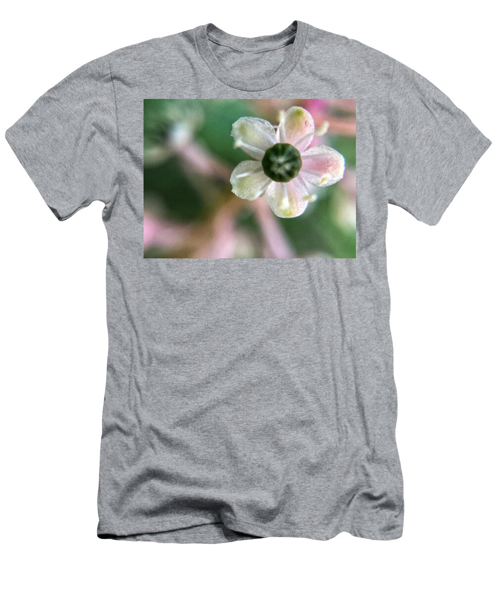Blossom T-Shirt featuring the photograph Pokeweed Blossom Closeup by Jori Reijonen