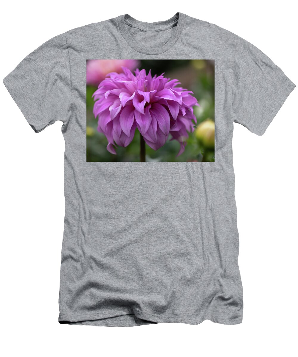 105mm T-Shirt featuring the photograph Pom Pom by Laura Macky