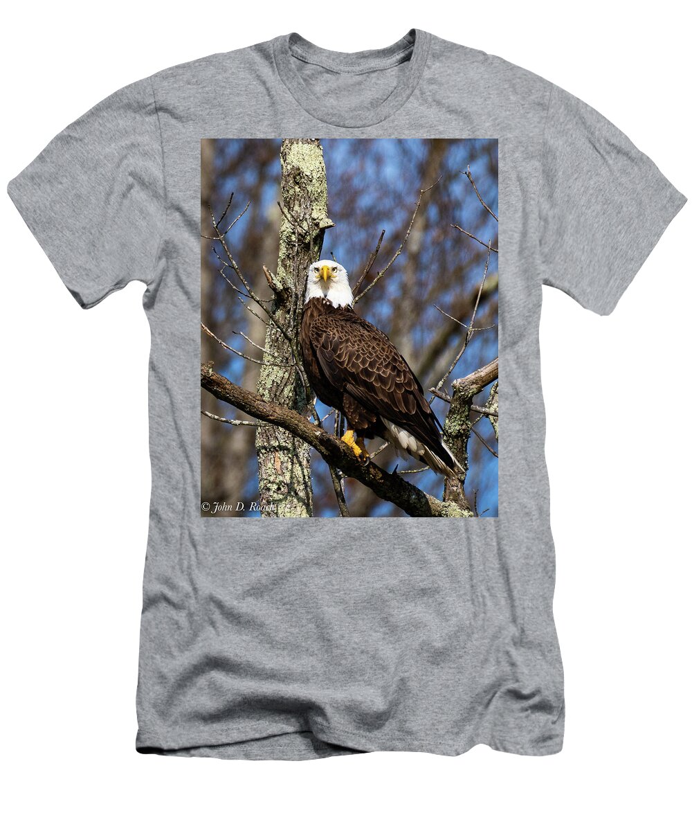  T-Shirt featuring the photograph Proud Eagle by John Roach