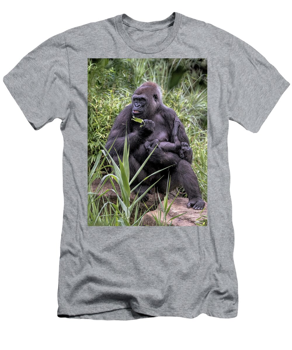 Mammals T-Shirt featuring the photograph Proud Mama Silverback 6243 by Donald Brown