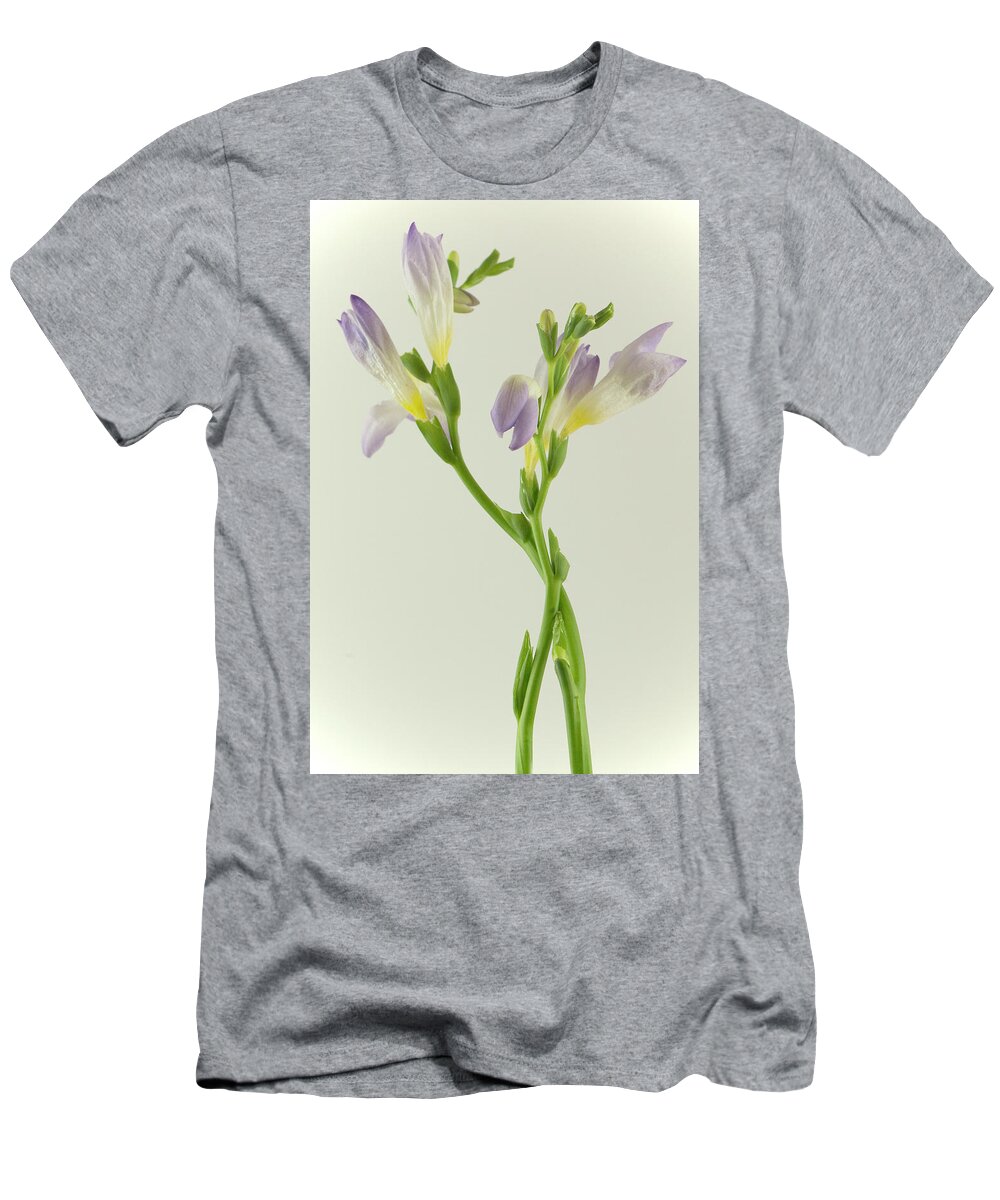 Yellow T-Shirt featuring the photograph Purple and yellow crocus by Cordia Murphy