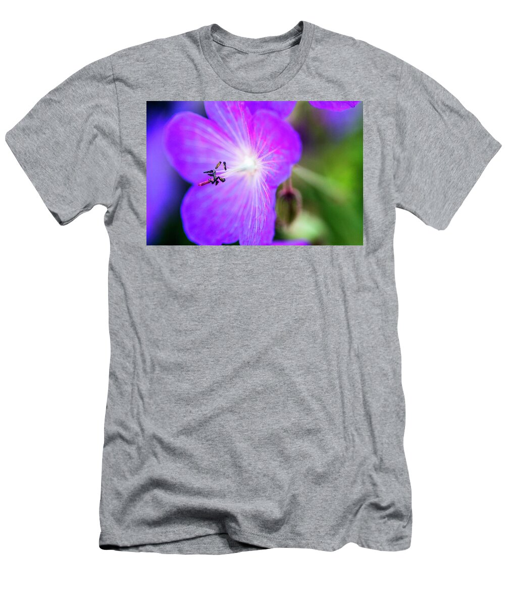 Ip_11191109 T-Shirt featuring the photograph Purple Clematis close-up by Lutt, Carine