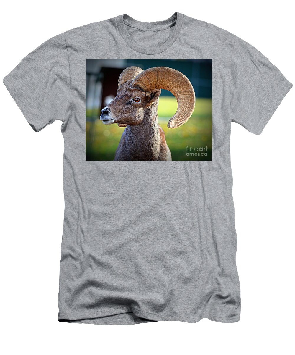 Ram T-Shirt featuring the photograph Ram Tough by Tru Waters