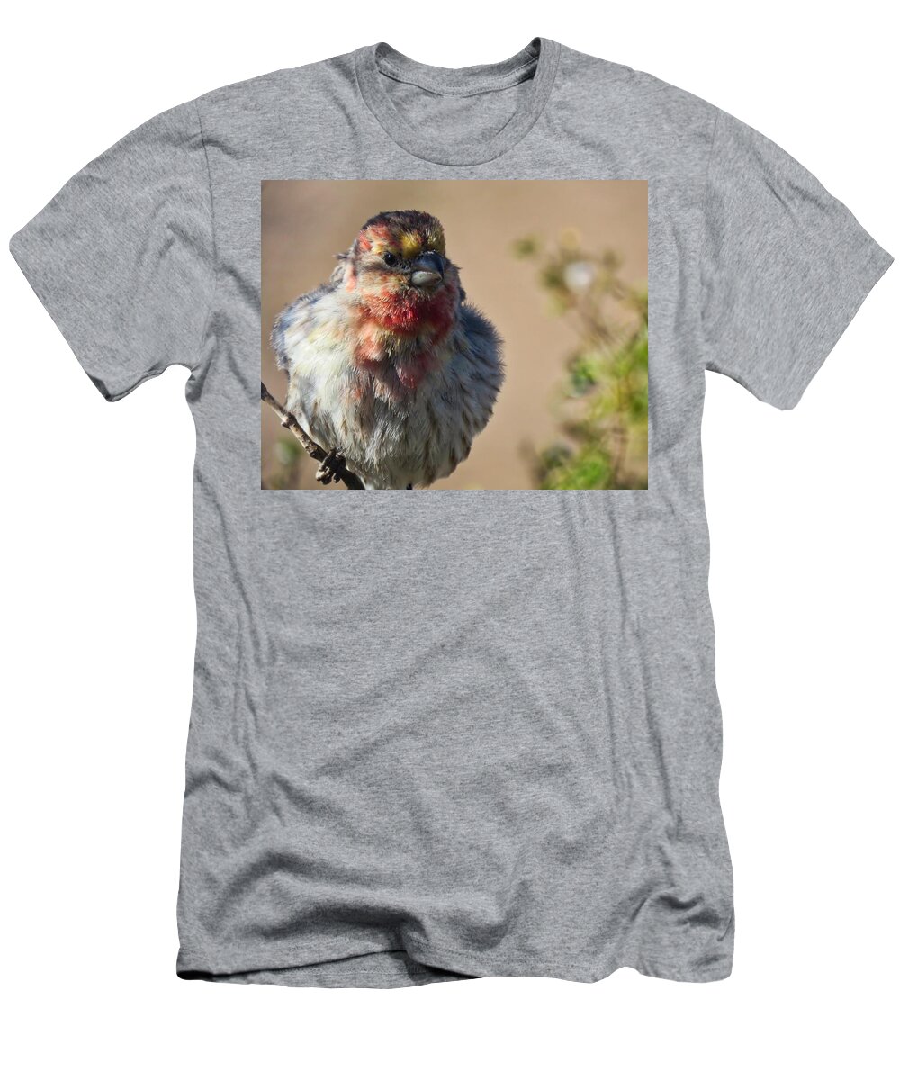Arizona T-Shirt featuring the photograph Rare Multicolored Male House Finch by Judy Kennedy